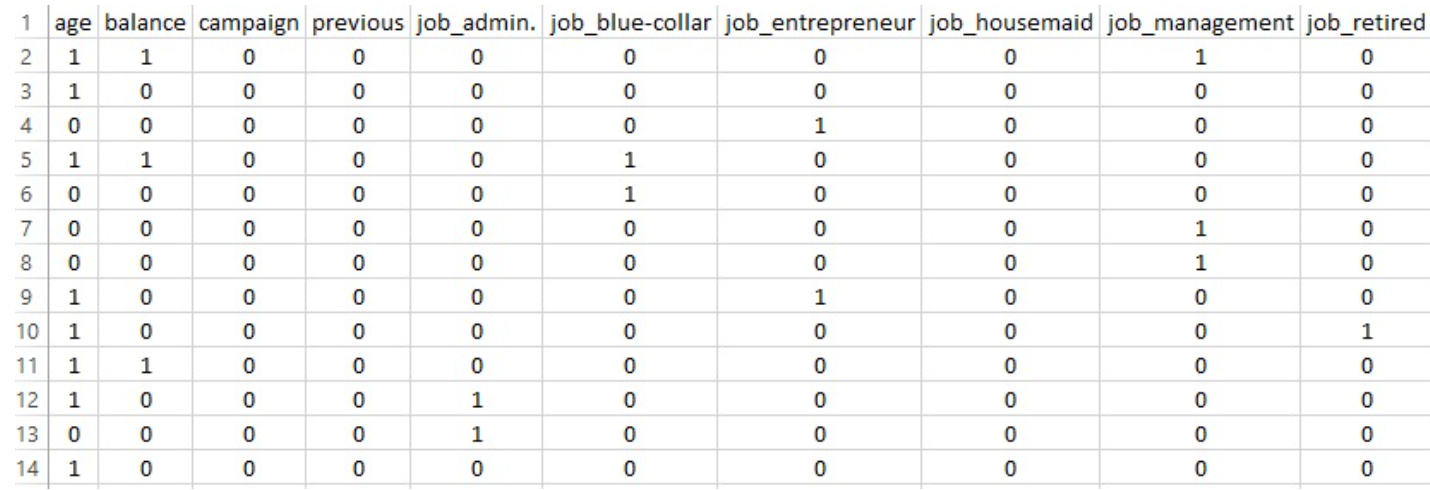 Clean dataset preview