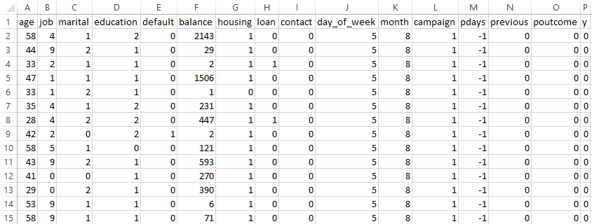 Clean dataset preview