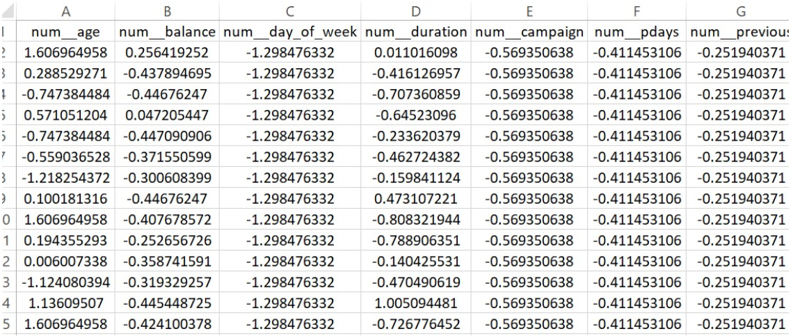 Clean dataset preview