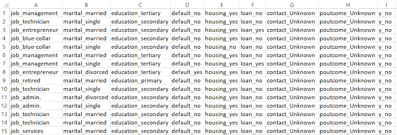 Dataset After Preparing for ARM