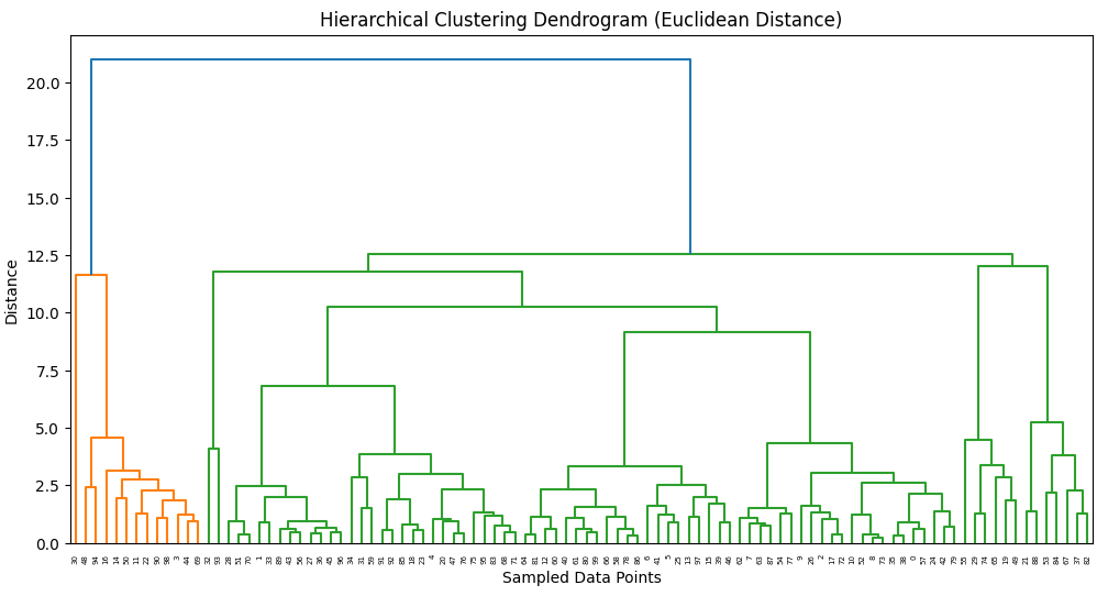 Hierarchical Clustering Dendrogram (Euclidean Distance)