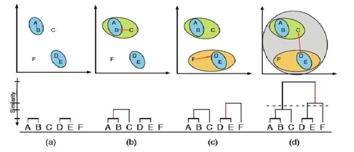 Hierarchical Clustering