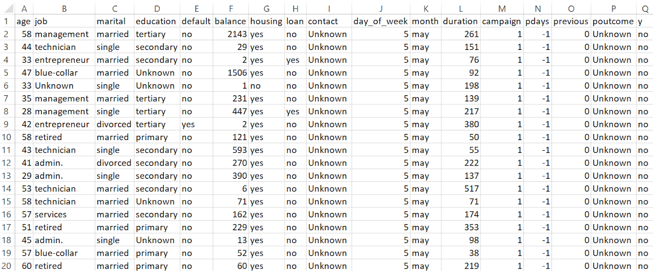 Initial dataset preview