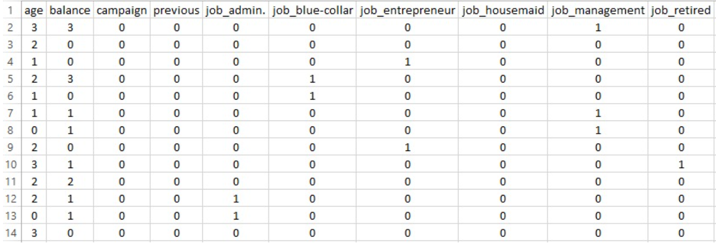 Clean dataset preview