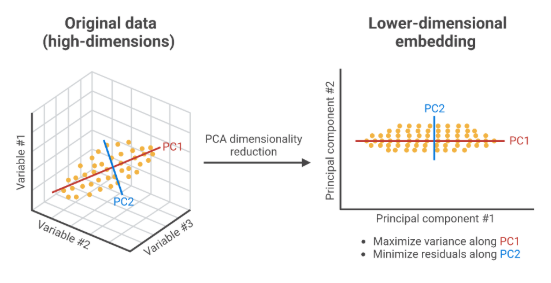 PCA Explanation