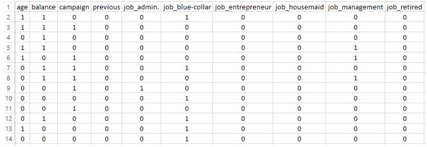 Clean dataset preview