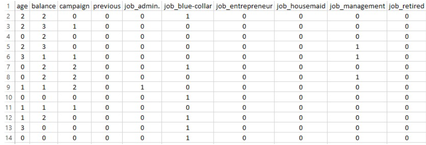 Clean dataset preview