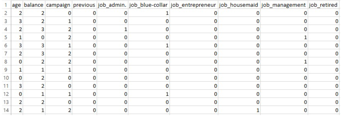 Clean dataset preview